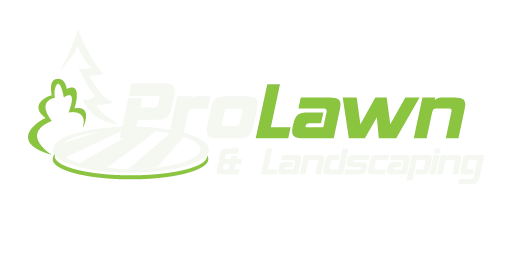 prolawn-logo-white-green