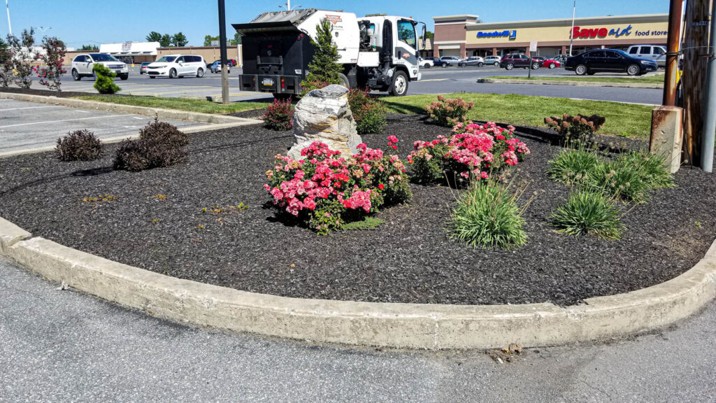 ProLawn-Landscaping