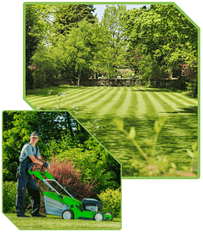 About ProLawn & Landscaping - Chambersburg